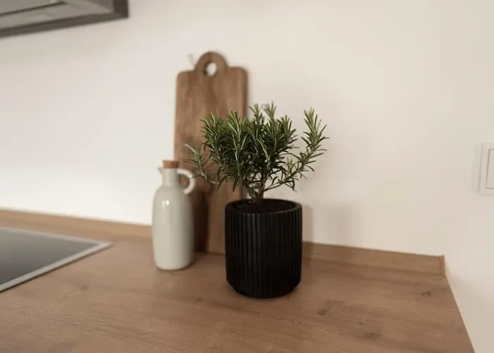 Design With Garden Apartamento *