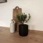 Design With Garden Apartment *